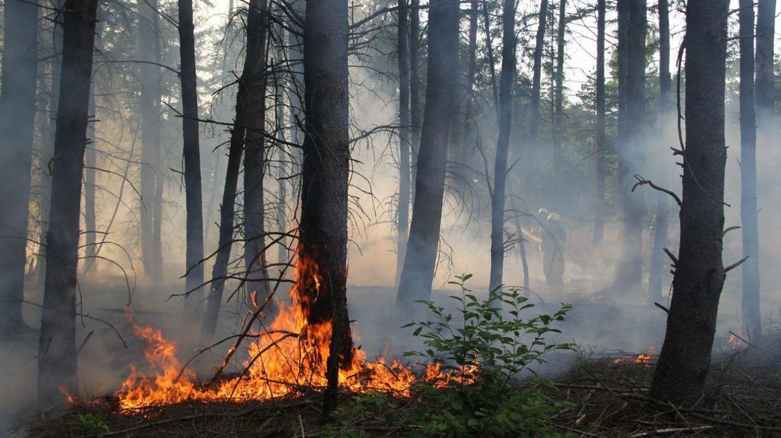 Ook een brand in natuurgebied het Aekingerzand bij Appelscha (Rechten: Van Oost Media)