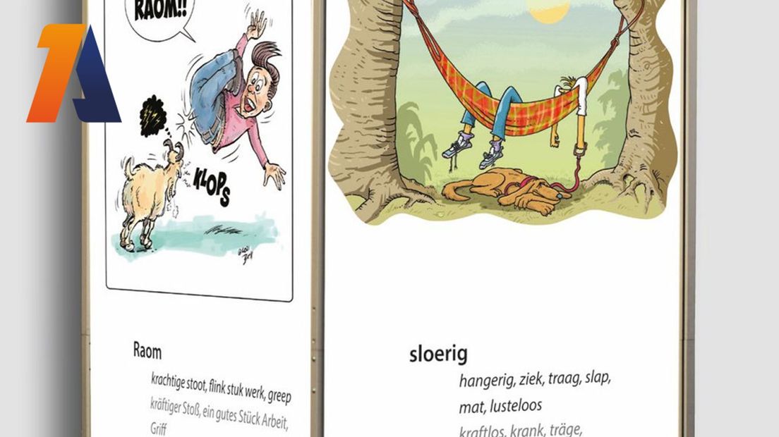 De cartoons van de expositie over de Nedersaksische taal in 't Brewinc.