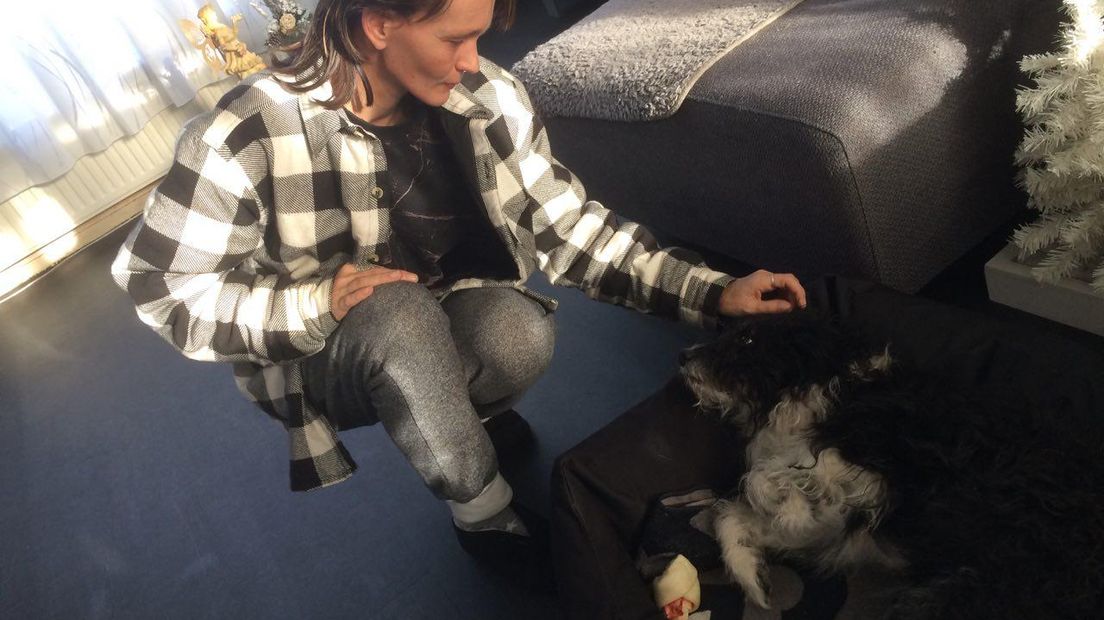 Manja Keimpena en haar hond Timmy werden gebeten door een husky (Rechten: RTV Drenthe)
