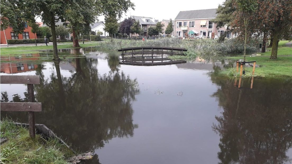 Dit is geen sloot, maar de overstroomde Roerdomplaan in Nieuwkoop. 