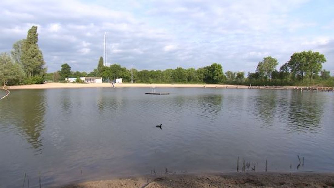 In zwemplas Walburgen bij Gendt is blauwalg aangetroffen. Dat is een bacterie die huid-, maag- of darmklachten kan veroorzaken.