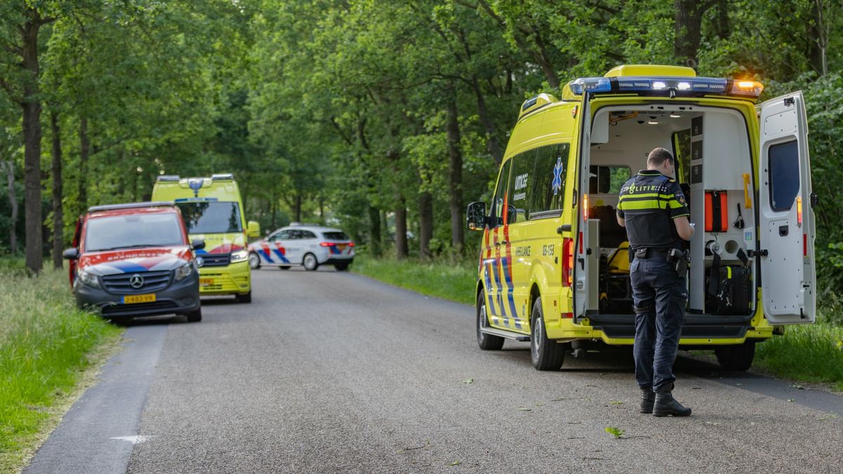Auto botst tegen boom bij Elsloo, bestuurster gewond