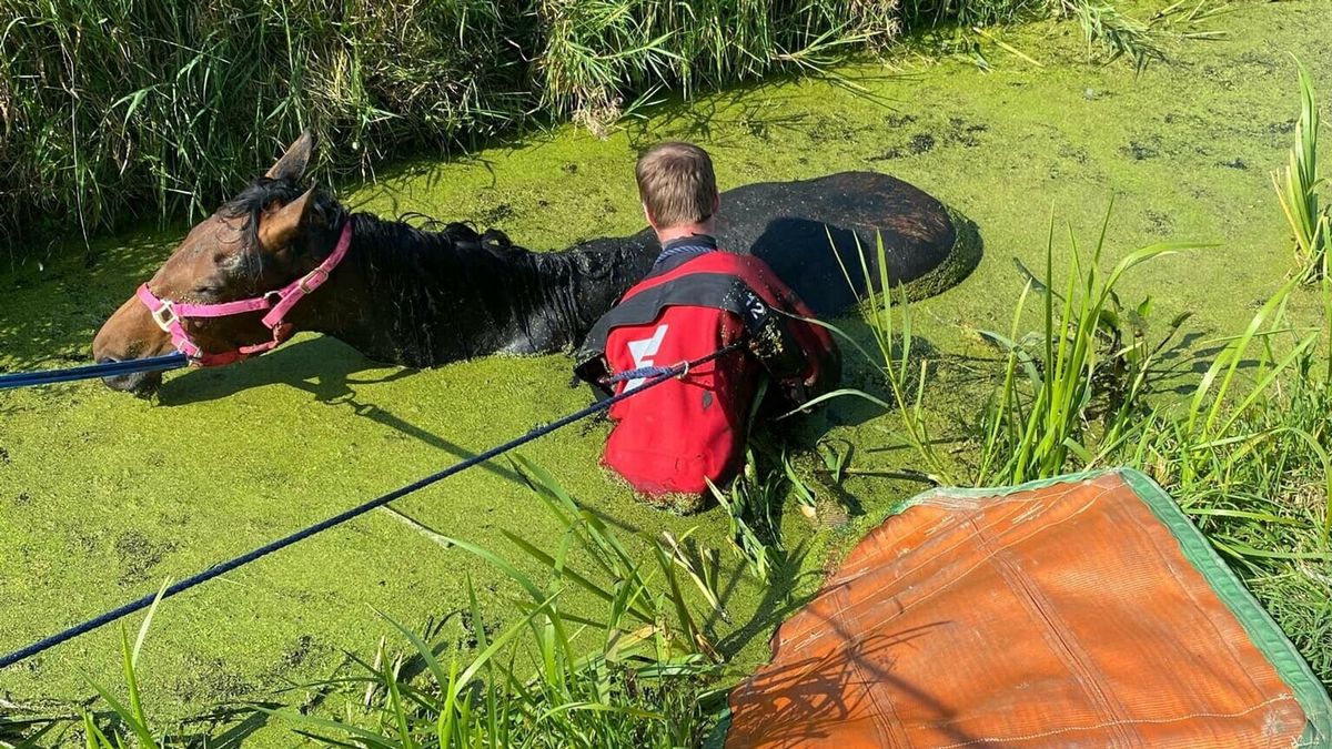 112-nieuws 1 september: Brug in Scharsterbrug is inmiddels weer dicht | Paard uit sloot gered