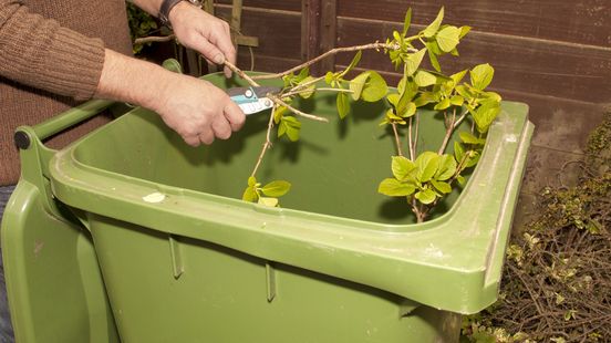 Reimerswaal doet oproep aan inwoners: 'Houd GFT-afval schoon' Nieuws