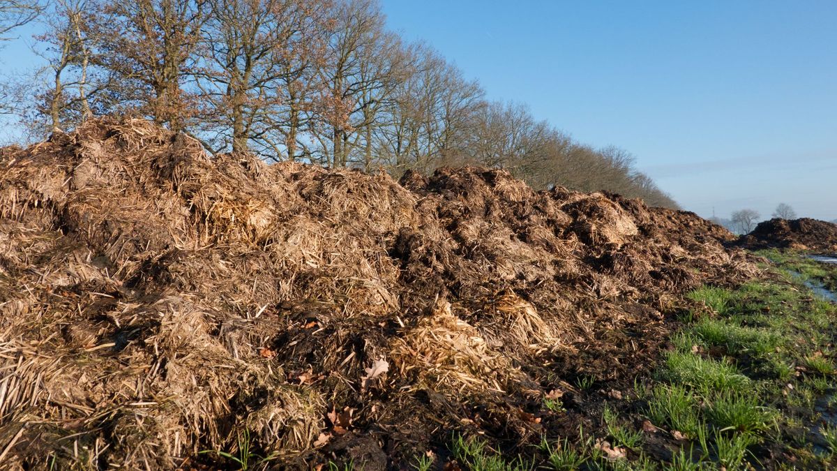 Mestverwerker Witteveen moet dwangsom van 18.000 euro betalen