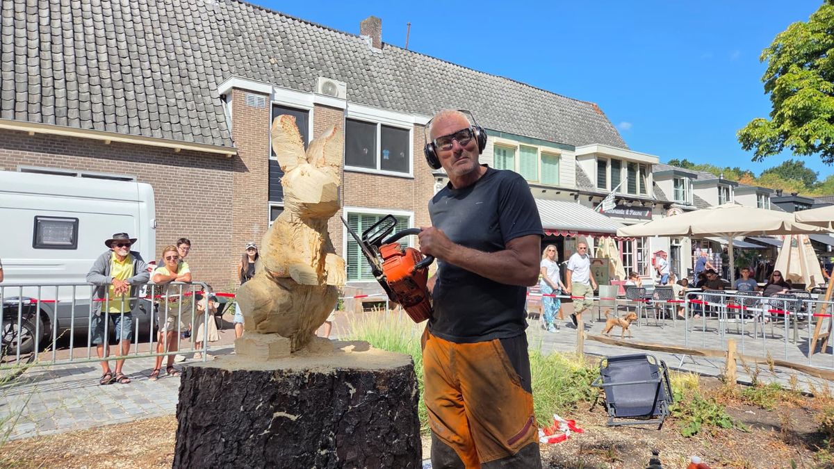 Zo verandert een dode boom in een passend houten beeld: 'Dit hoort echt bij Haamstede'