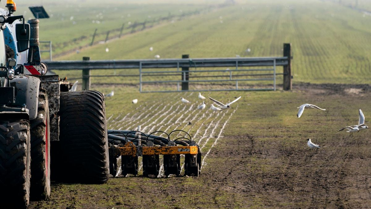 Boeren voor rechter voor illegaal verwerken papierslib in vergister