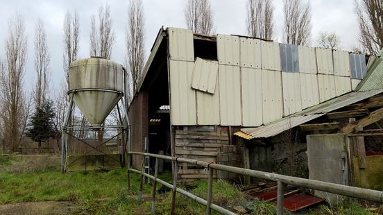 Rineke's 'perfecte plek' voor crematorium is toch niet zo perfect, vindt gemeente Home