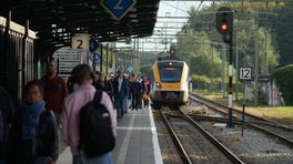 Treindienst naar Zwolle weer opgestart na kapotte bovenleiding