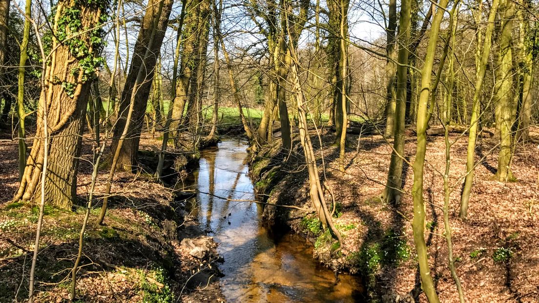 Iedere zondagochtend tussen 7.00 en 10.00 uur struint verslaggever Laurens Tijink door de Gelderse natuur. Deze zondagochtend leidt Gerard Heemskerk, educatief boswachter van Geldersch Landschap en Kastelen, Laurens rond op de witte pauwenburcht: Landgoed Staverden.