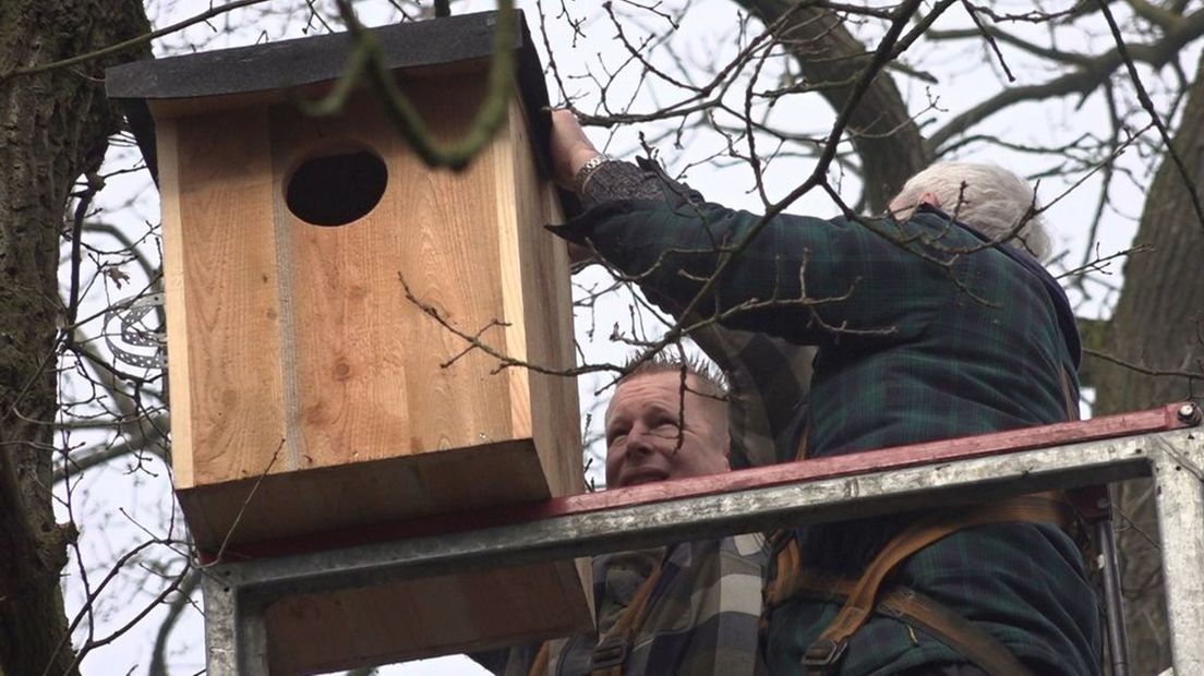 Vrijwilligers hangen een nestkast op bij het voormalige azc-terrein Groot Deunk in Barlo.