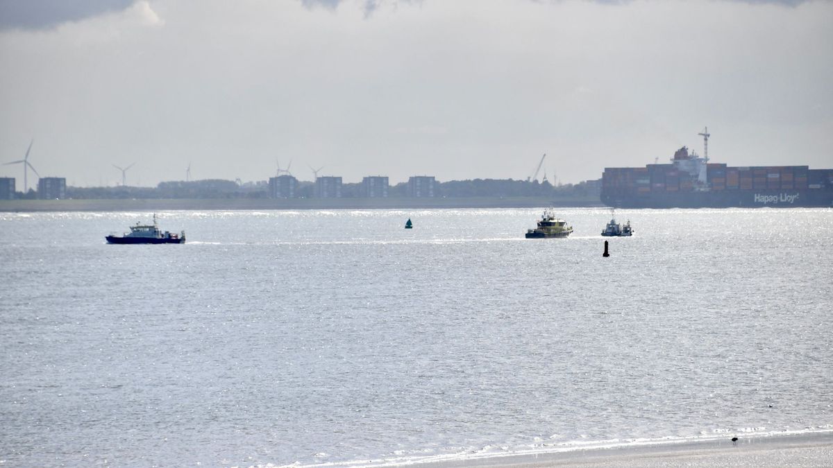 Brand aan boord van schip op Westerschelde geblust - Omroep Zeeland