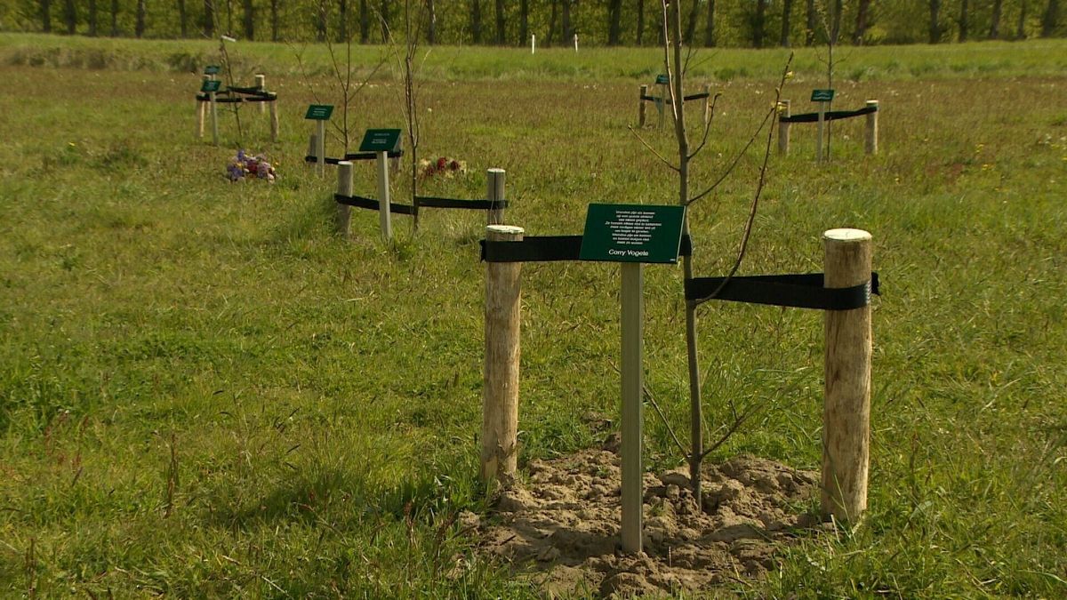 Biggekerke en IJzendijke worden bosrijker: 20.000 nieuwe bomen voor Zeeland