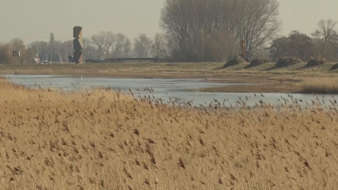 Hoogheemraadschap van Delfland heeft riet in de waterberging bij de Wollebrand gemaaid 