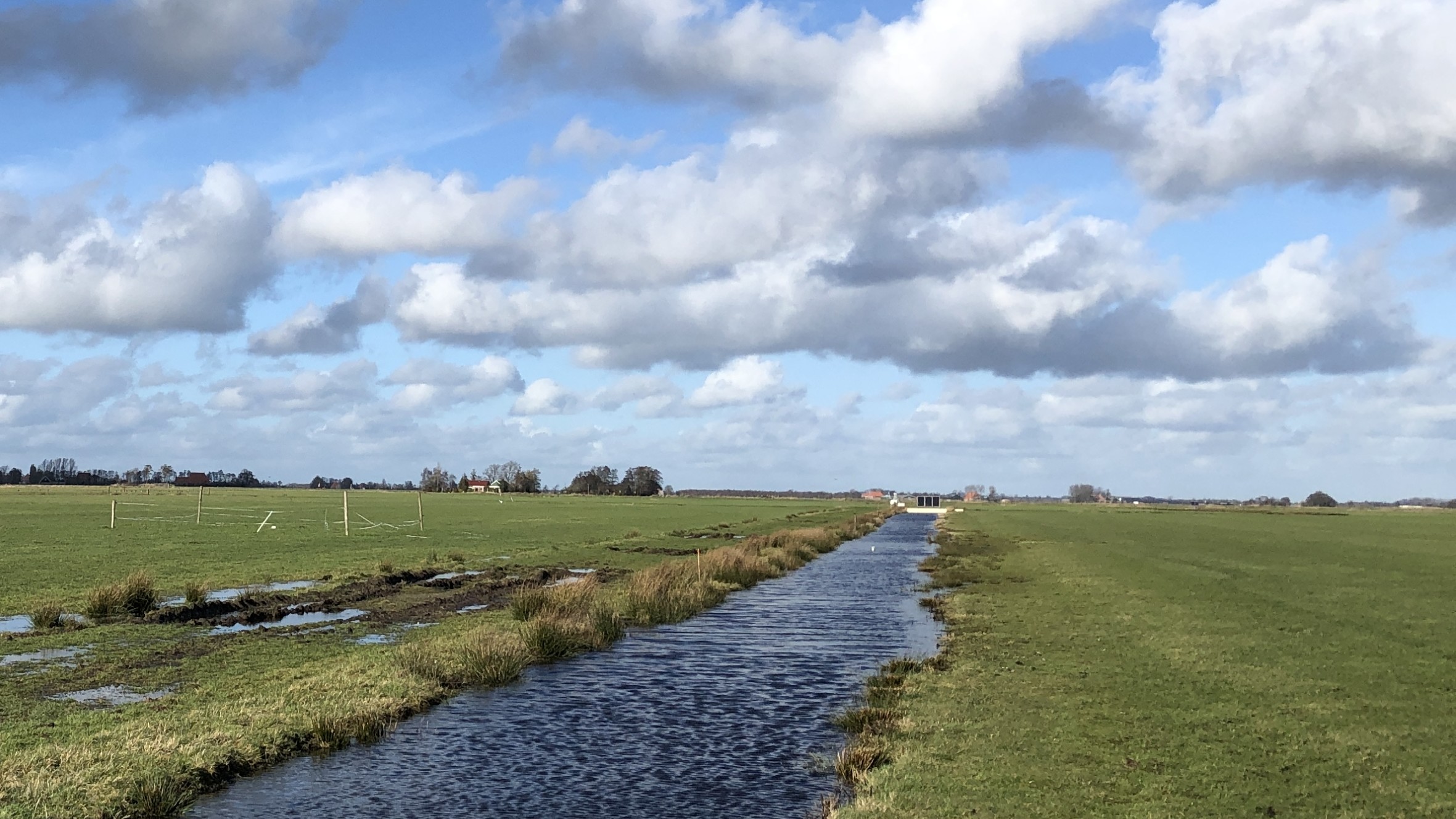 Provincie biedt compensatie in geld en grond aan boeren veenweidegebied, maar hoeveel is de vraag