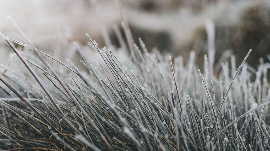 Het was vannacht steenkoud, -6,8 graden gemeten.