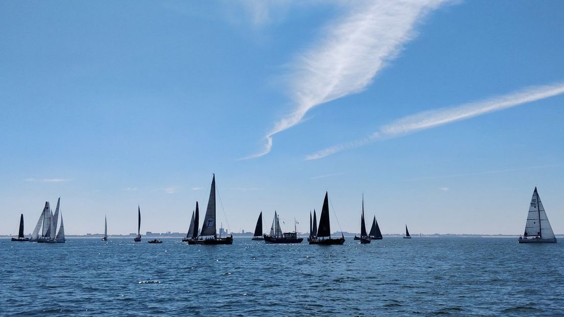 Het WK Zeezeilen in Scheveningen is zondag officieel begonnen. | Foto Omroep West