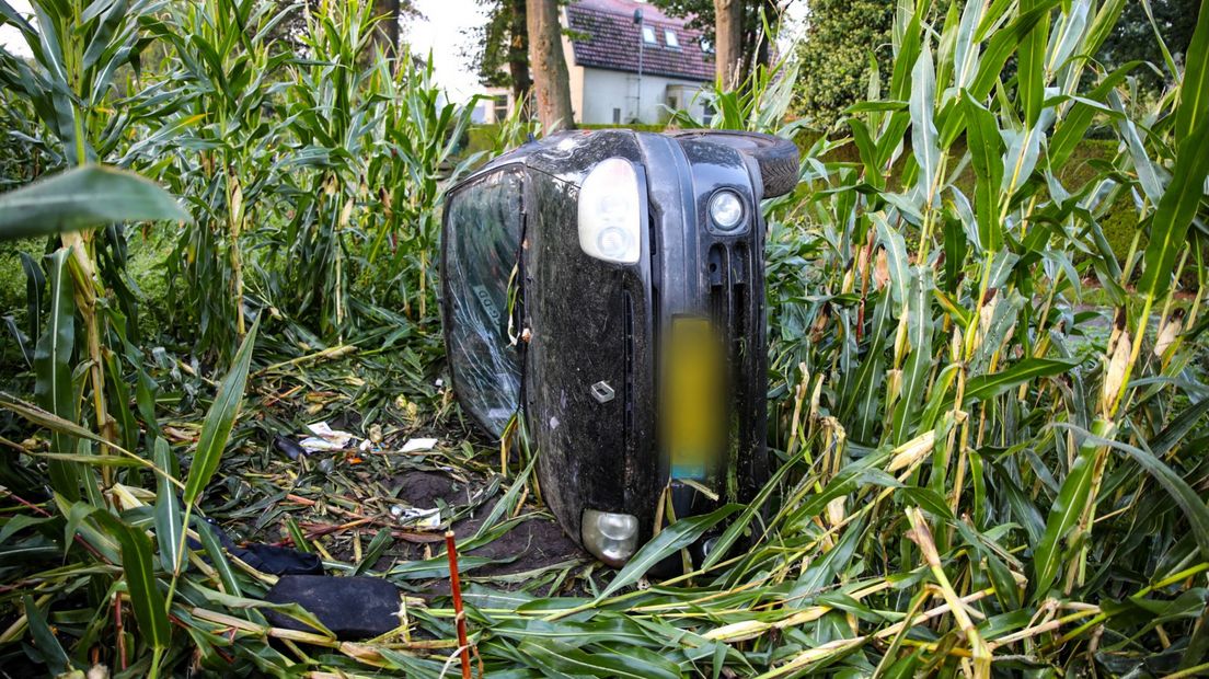 In Beekbergen is zaterdagochtend een auto in een maisveld beland