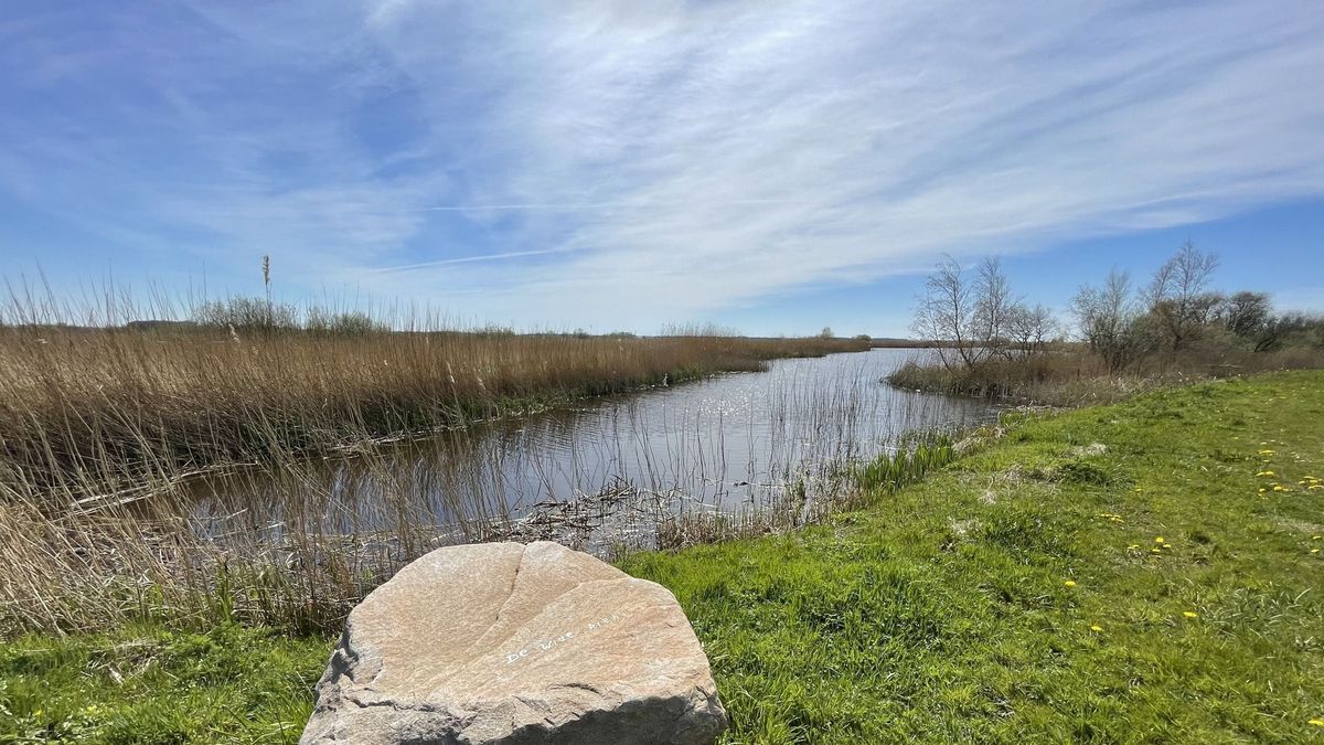 Wetterskip Fryslân bouwt twee nieuwe gemalen bij Elahuizen