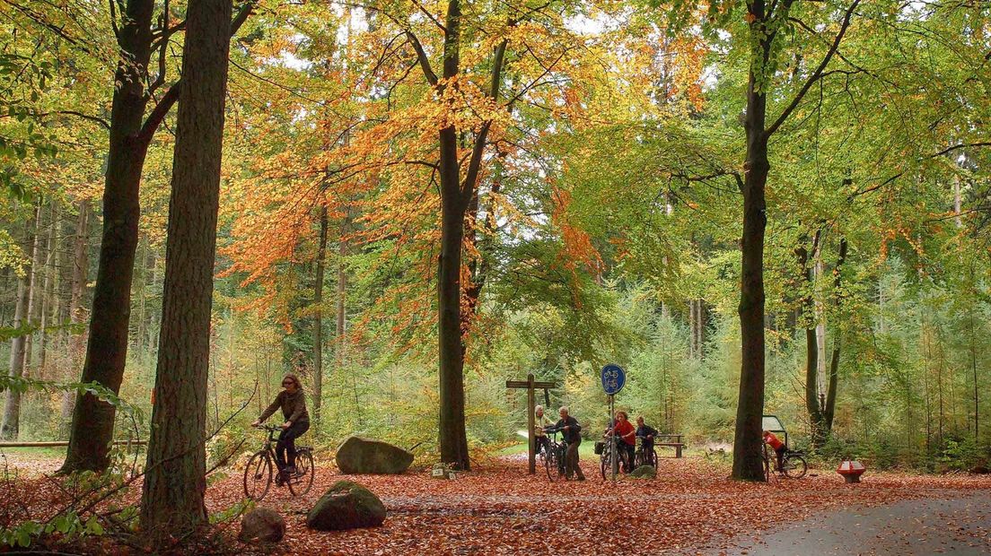 De Hondsrug is rijk aan wandel- en fietsroutes door de natuur