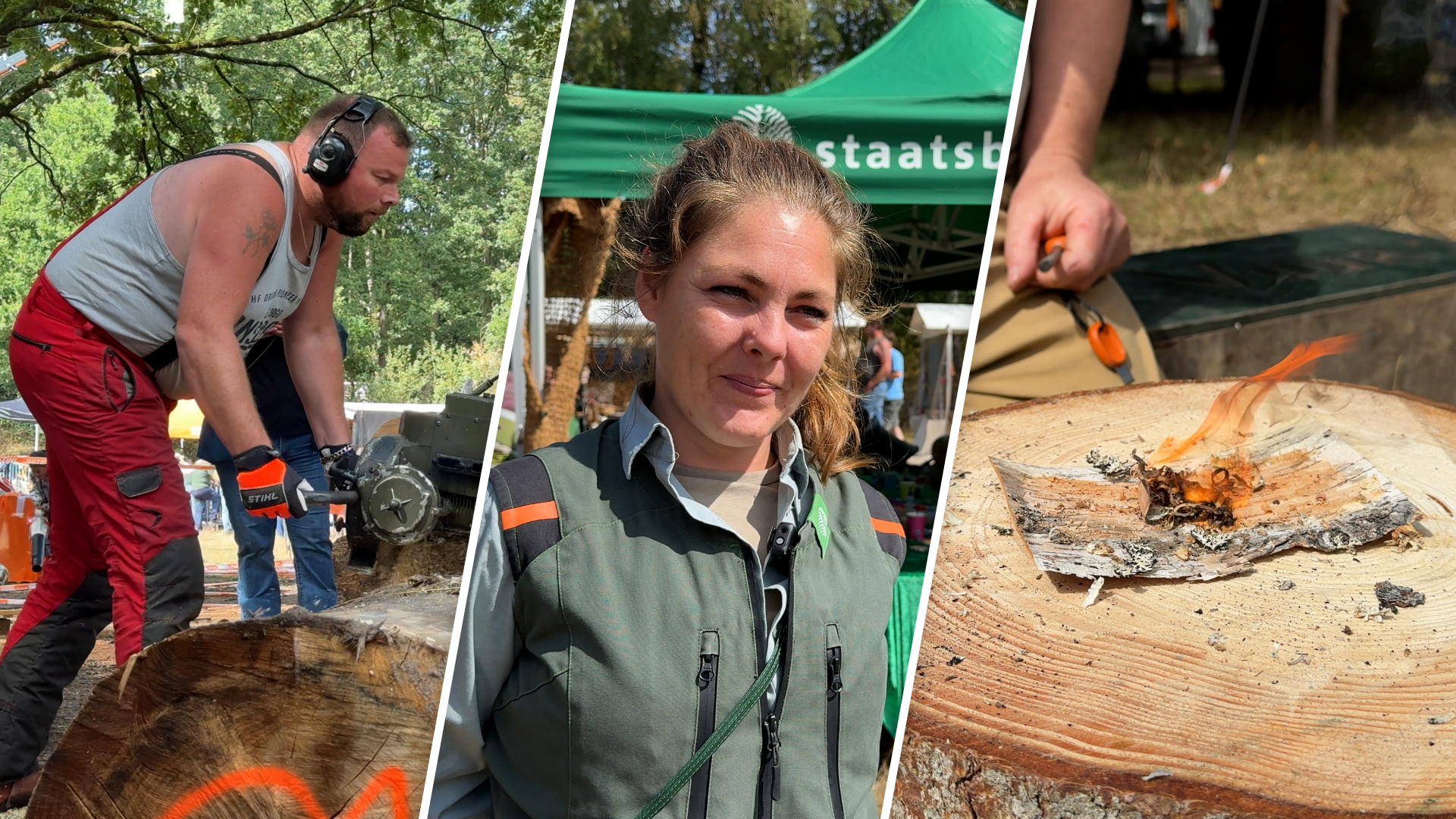 Houthakkersfeest midden in kurkdroog bos: 'We moeten voorzichtig zijn met onze natuur'