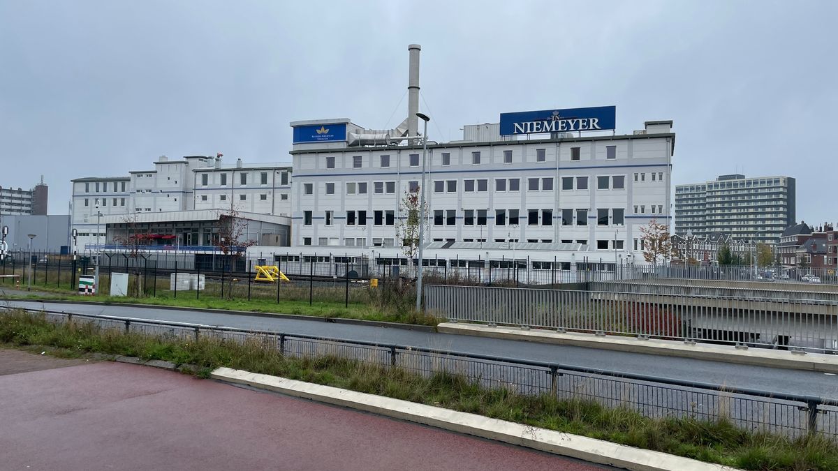 Gaat de AI-fabriek in Groningen echt 10.000 banen opleveren? 'Het gaat om de ambitie die we hebben'