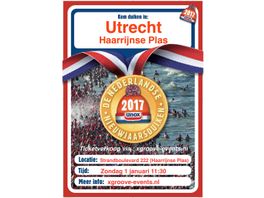 Utrecht krijgt eerste 'officiële' Nieuwjaarsduik
