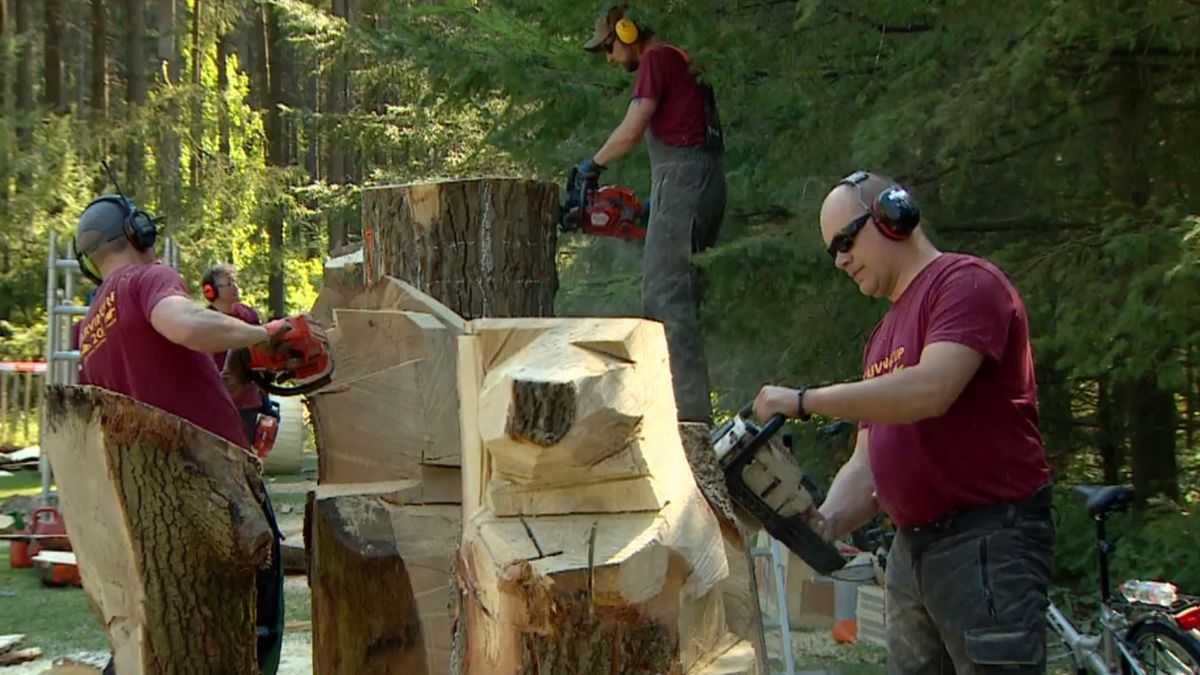 Tiende editie van Carving Cup bij Boomkroonpad: 'Allemaal zagers bij elkaar'
