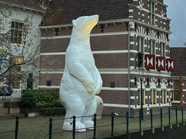 IJsbeer bij museum Flehite mag nog even doorgaan met plassen