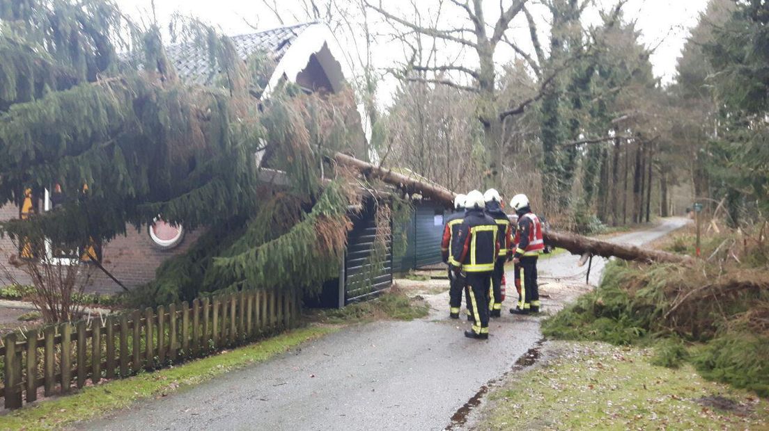 In Stuifzand belandde een boom op een woning (Rechten: Persbureau Meter)