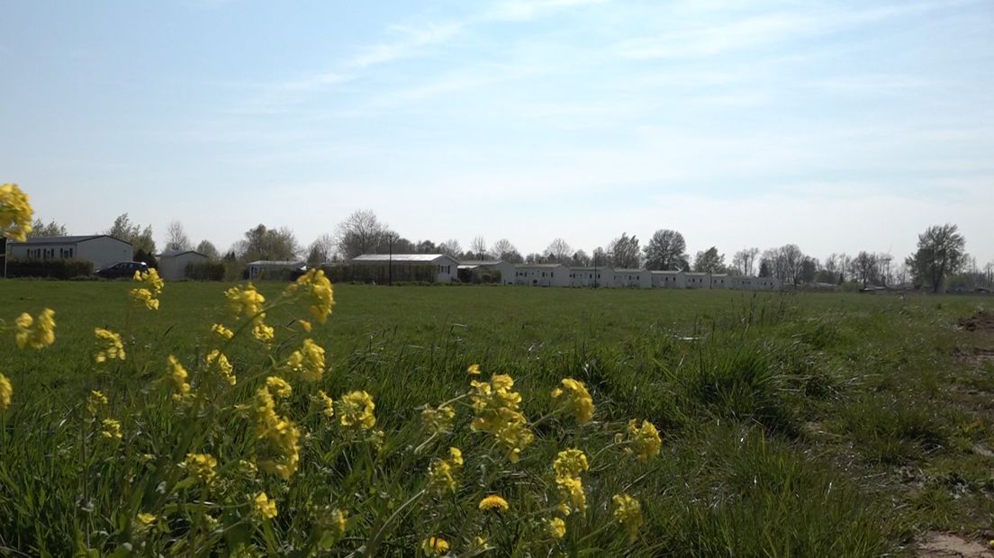 De locatie van de chalets in Neder-Betuwe.
