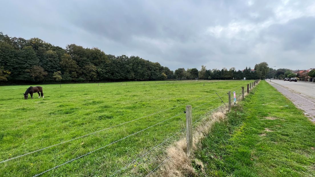 Het grasveld aan de Insingerstraat in Soest.
