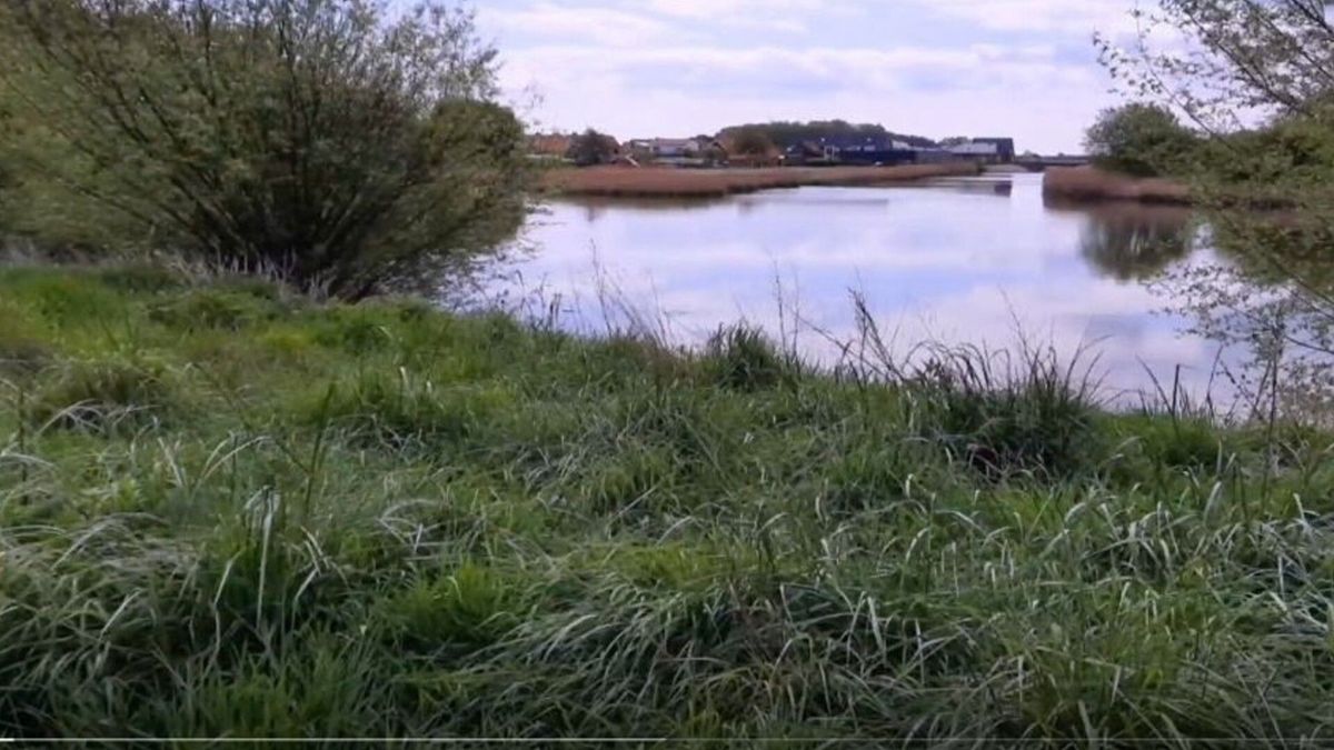 Dorpsbewoners Colijnsplaat willen geen huizen, maar een park: ‘Dit mág niet verloren gaan’