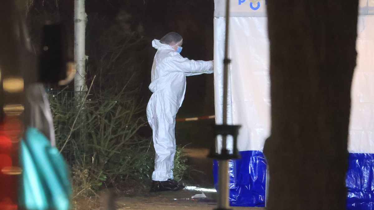 Dode in parkje na melding schietpartij is jongen van 16 jaar, politie heeft verdachte opgepakt