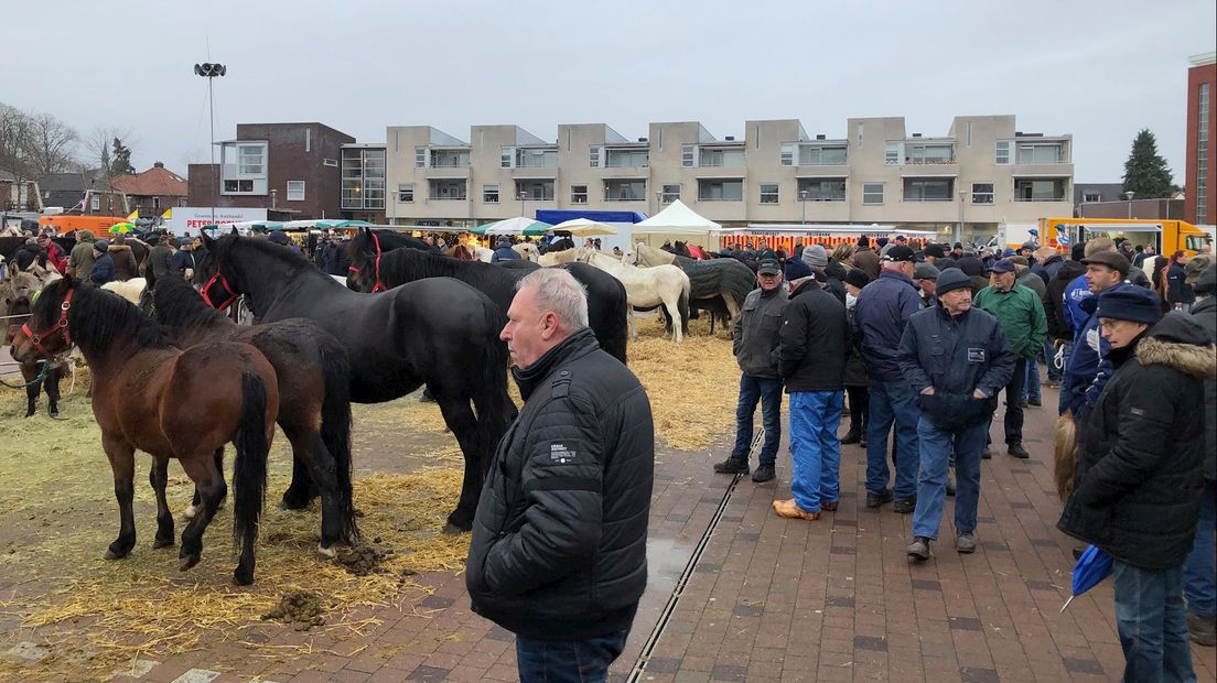 Paardenmarkt in Goor