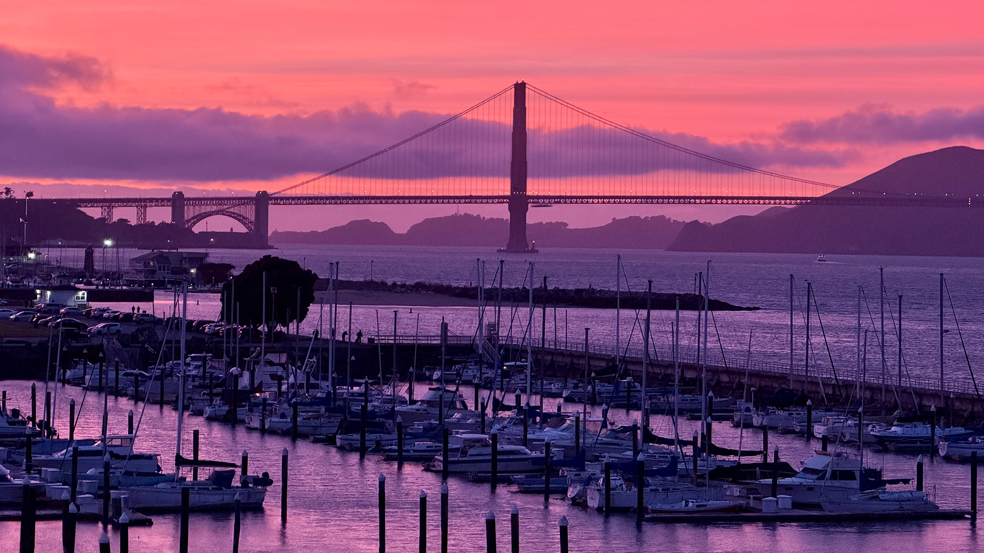 Tuinier syn wurkplak is net fier fan de Golden Gate Bridge yn San Francisco
