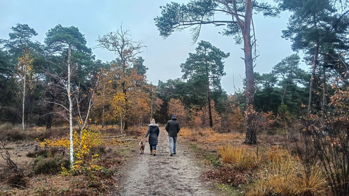 Limburg Kiekt: Oostrum, Tungelroy, Brunssum en...