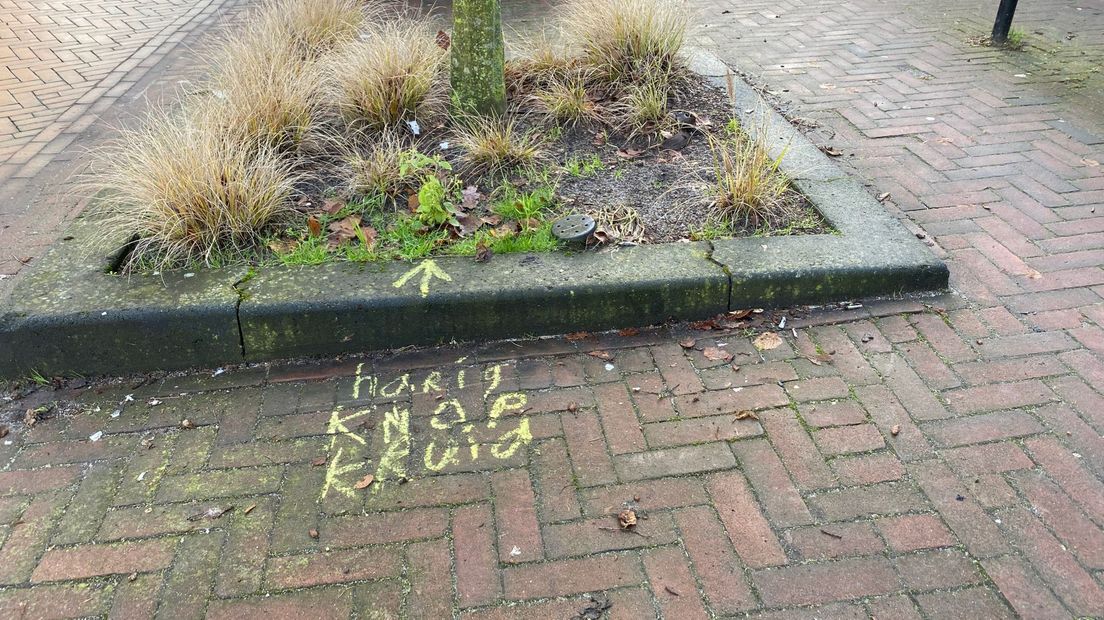 Met stoepkrijt krijgt de plant wat extra aandacht