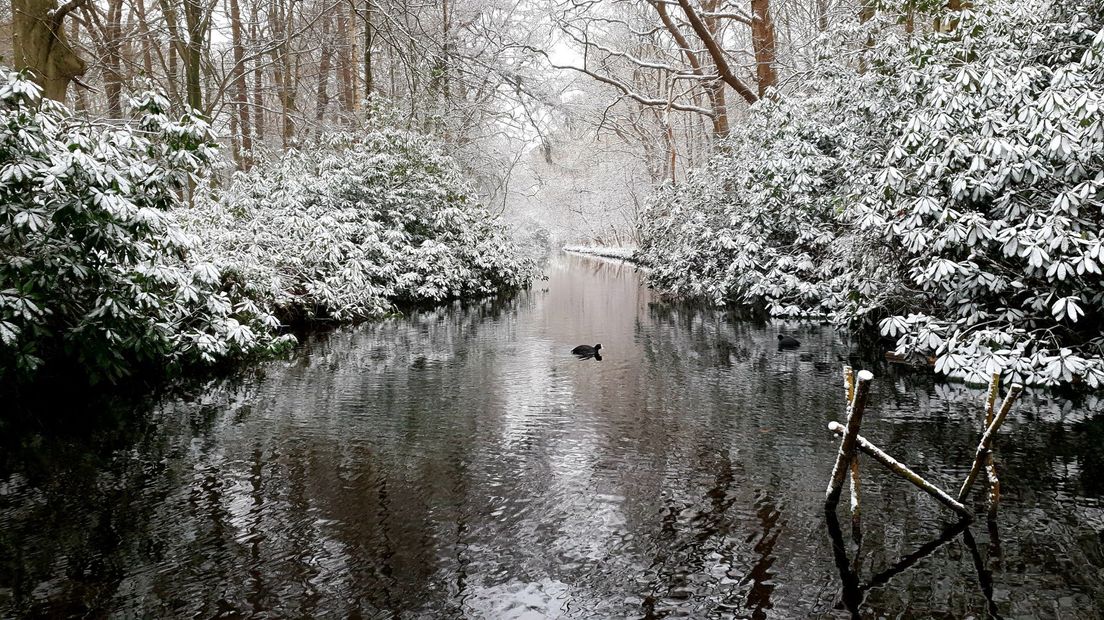 Prachtig plaatje vanaf Landgoed de Horsten in Wassenaar