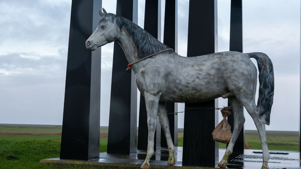24 vuurwerkslachtoffers in ziekenhuis Leeuwarden | Nieuwjaarsduiken geannuleerd