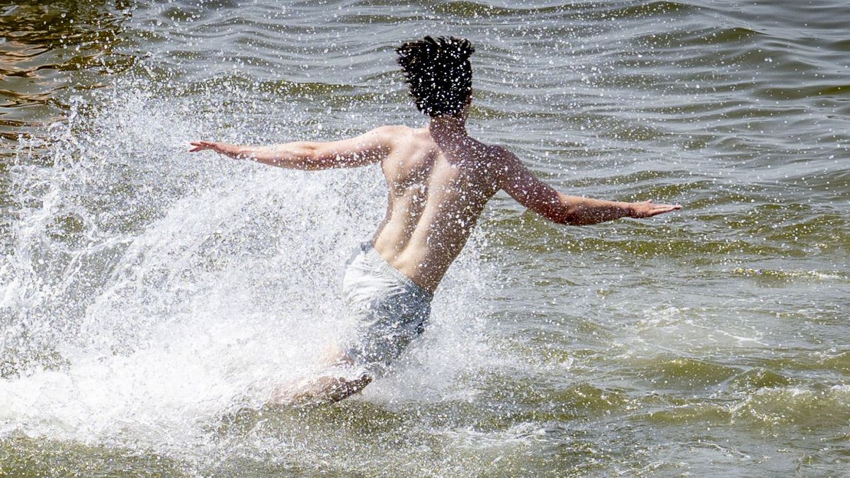 Zomerblog | Opgelet: veel stromingen in zee en waarschuwing voor muien - Vandaag 32 graden