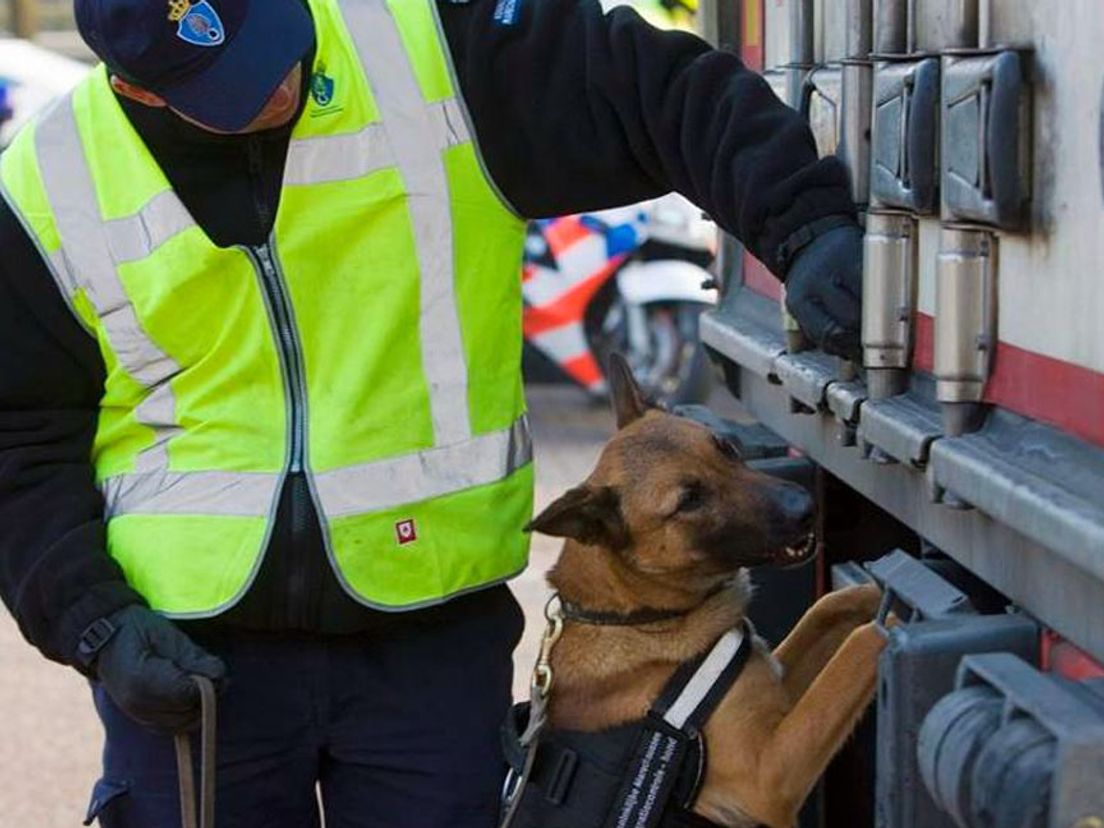 Speurhond Koninklijke Marechaussee