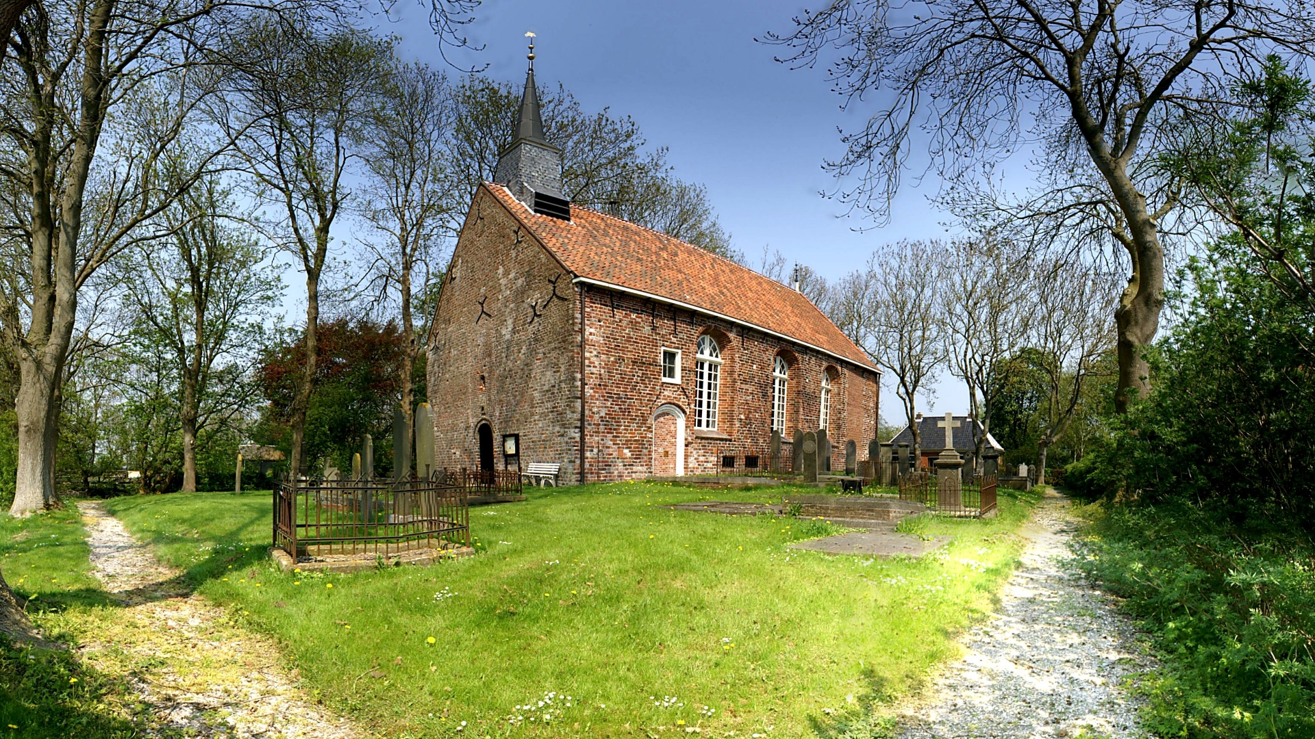 Levende begraafplaatsen: Groninger Kerken herstelt biodiversiteit op
