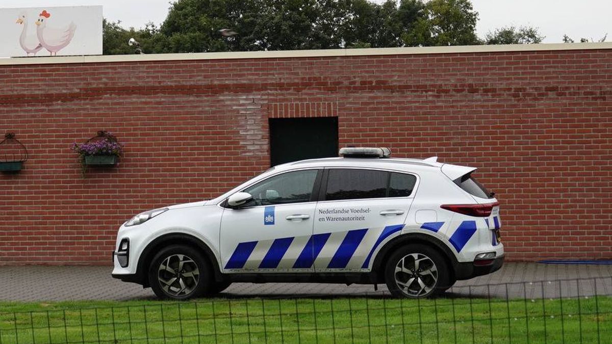 Vogelgriep vastgesteld in Schuinesloot: 60.000 dieren worden geruimd