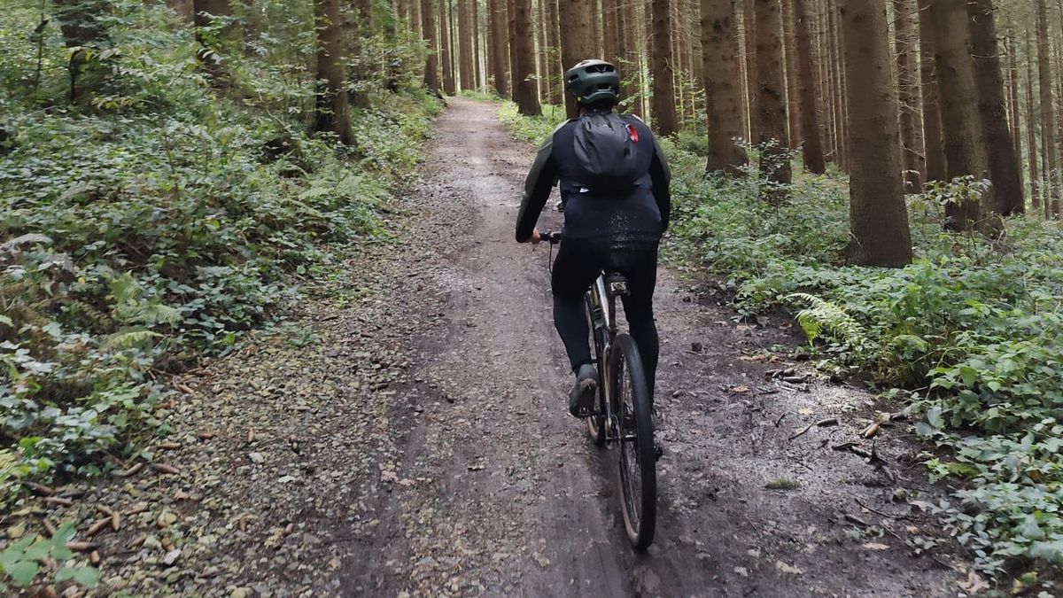 Dassen rijden mountainbikers Kronenberg in de wielen