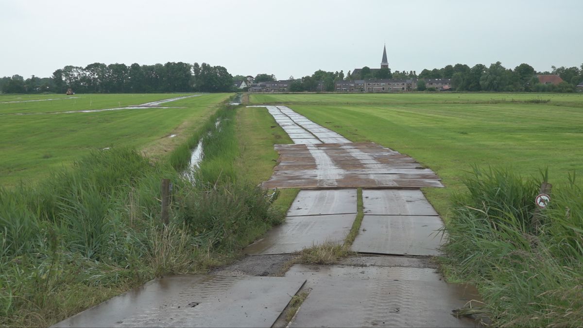Organisatie Slachte roept bezoekers op: blijf thuis voor de tv, te nat om te parkeren