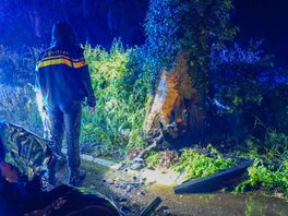 Auto botst op boom bij Noordlaren, bestuurder gewond