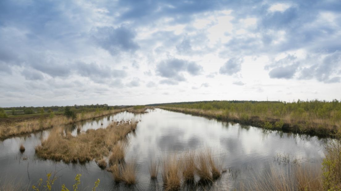 Het Bargerveen gaat op de schop (Rechten: Fred van Os/RTV Drenthe)