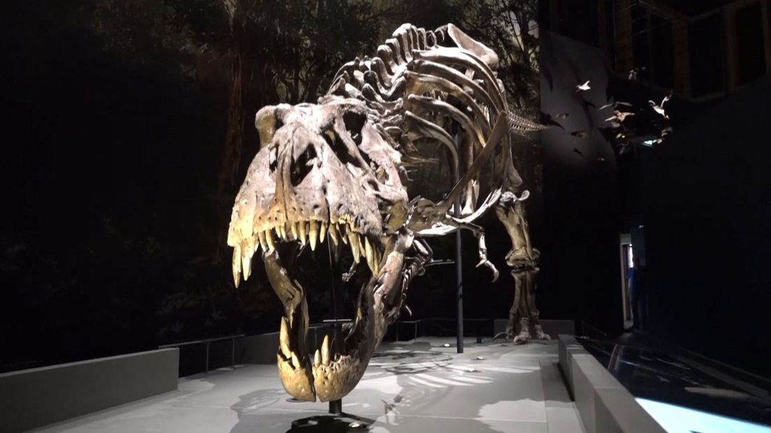 Trix in Naturalis