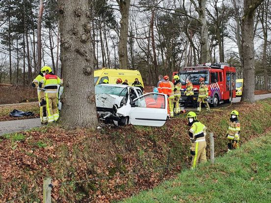 Automobilist (31) overlijdt na frontale botsing tegen boom in Overasselt - Omroep Gelderland
